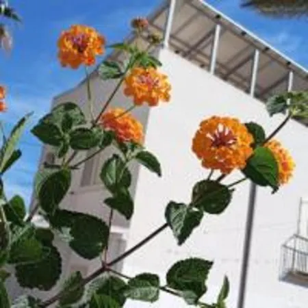 Cristalli Di Sale